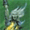 Stormbringer - Version 2